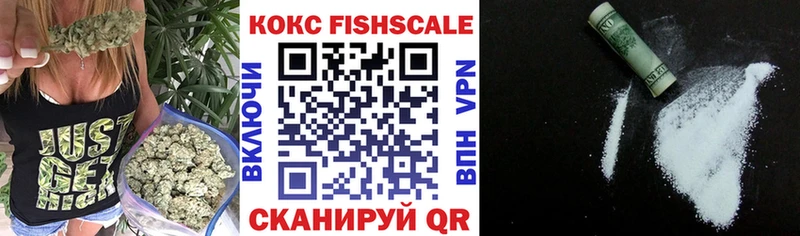 Купить закладки  Пересвет  COCAIN 97% 