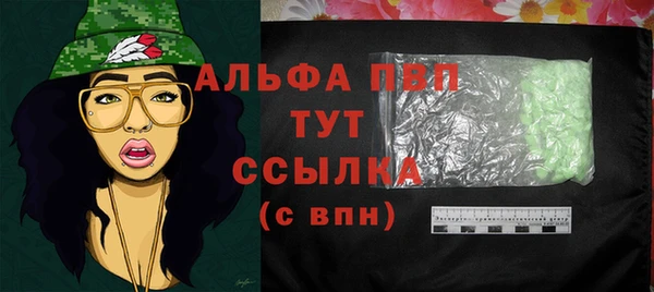 СК Елабуга