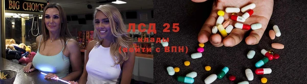 СК Елабуга