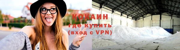 меф Ельня