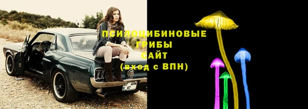 СК Елабуга