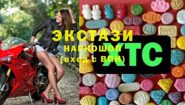 меф Ельня