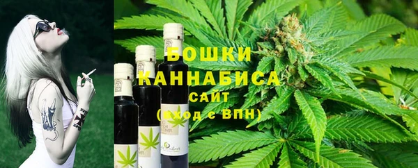 меф Ельня