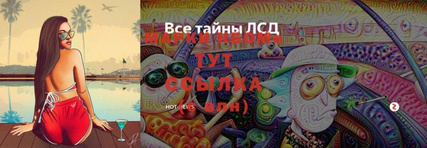 меф Ельня