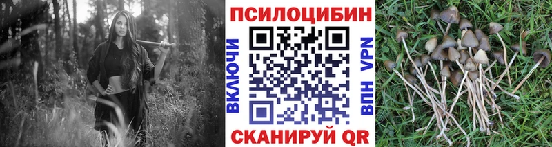 Купить  Пересвет  Галлюциногенные грибы ЛСД 
